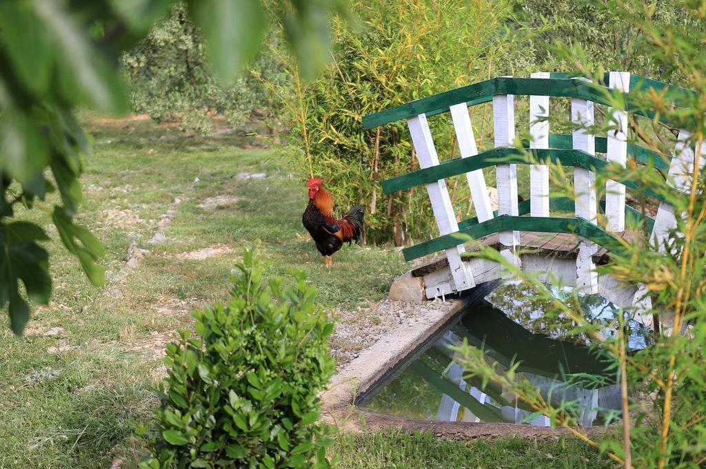 Agrotourism Galic Krka Hotel Drinovci Exterior foto